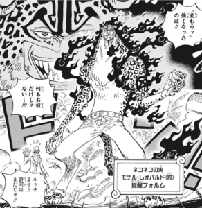 エッグヘッド編で見せたロブ・ルッチの覚醒フォルム