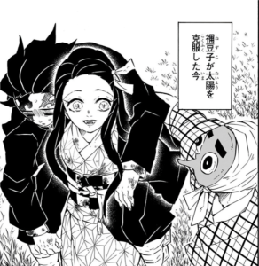太陽を克服した禰豆子が炭治郎を背負うシーン