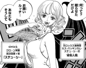 バッキンガム・ステューシーの複製人間のステューシー