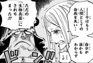 父がベガパンクに生物兵器にされたというボニーの独白背景に浮かぶくま