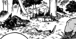 超常解放戦線にやられて倒れるミッドナイト