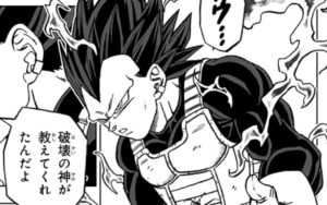 ベジータ(我儘の極意)