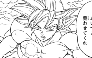 孫悟空(身勝手の極意・極)