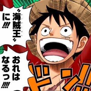 モンキー・D・ルフィ