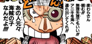 海賊の両親に捨てられたフランキー