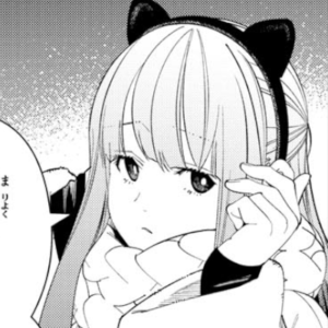 「葬送のフリーレン」フェルン