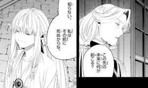 「葬送のフリーレン」自分が死ぬと分かっているゼーリエ