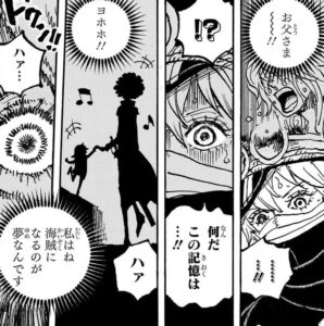 【ONE PIECE】軍子の記憶