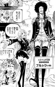 【ONE PIECE】ブルックとシュリ